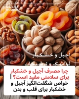 فروشگاه ملچ ملوچ malachmoloch آجیل و خشکبار لواشک و ترشیجات